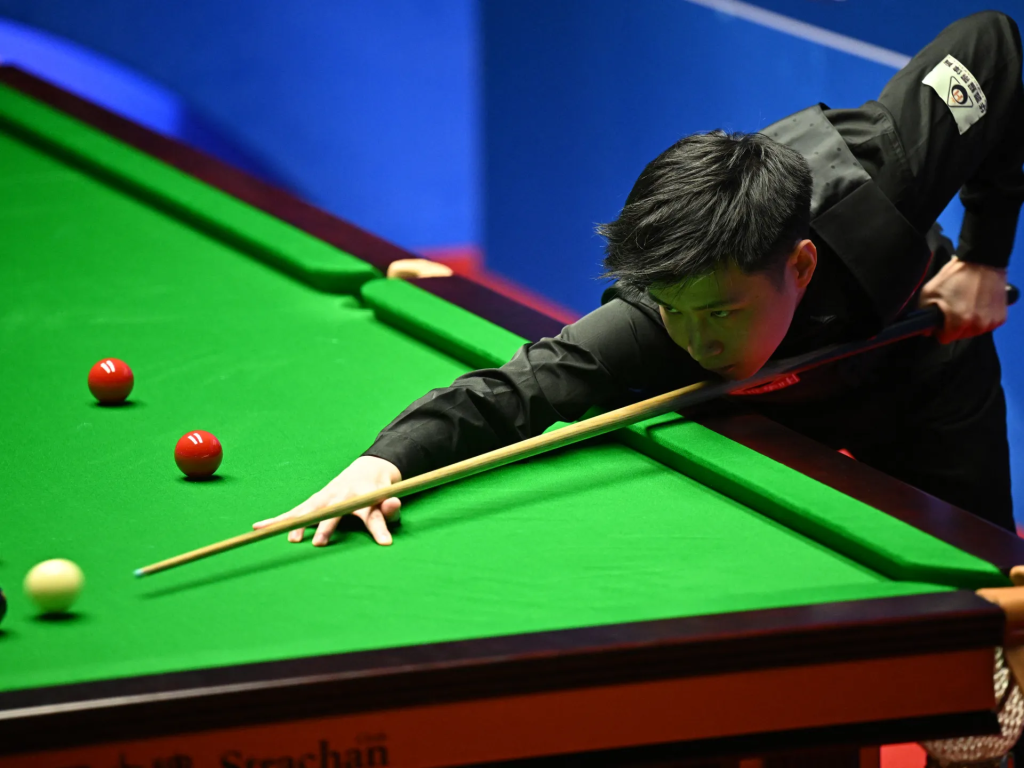 Peradon Zenith One-Piece English Pool Cue: A Fusion of Tradition and Precision