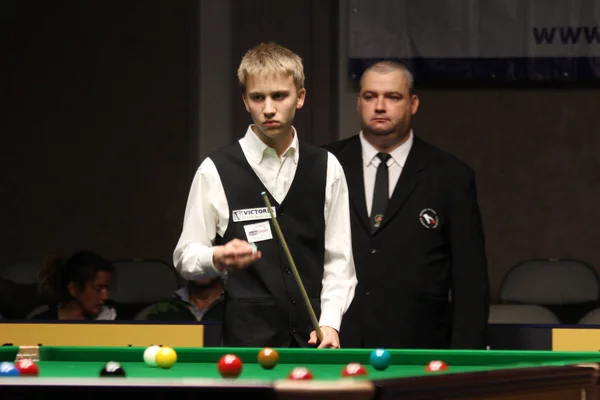 Read more about the article Peradon Zenith One-Piece English Pool Cue: A Fusion of Tradition and Precision