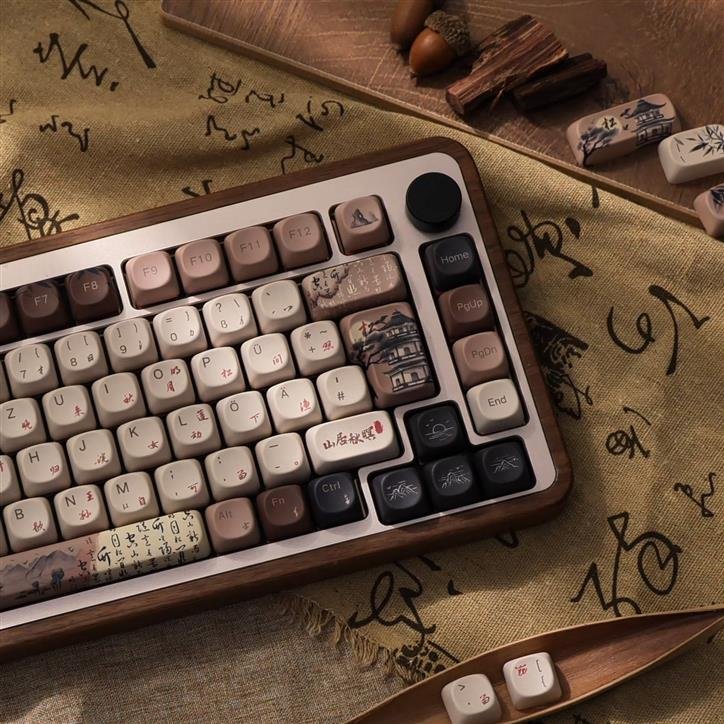 Read more about the article Comment choisir le bon switch pour votre clavier Akko ?